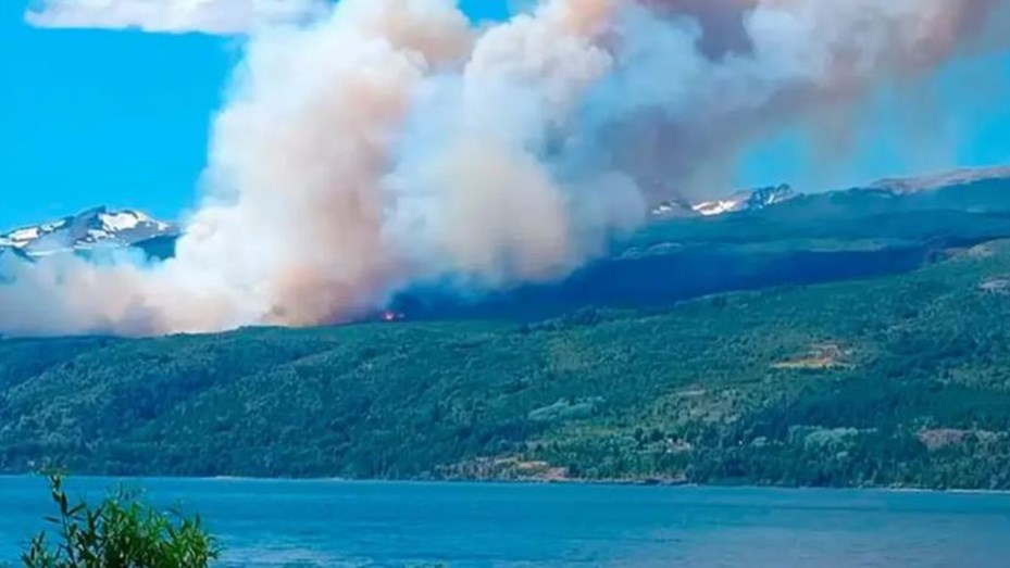 Chubut: el incendio en Parque Los Alerces está fuera de control y ya arrasó 65 hectáreas