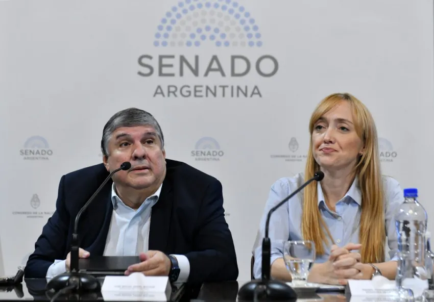 Senado: la oposición solicitó que se convoque a una sesión especial para frenar el DNU de Milei