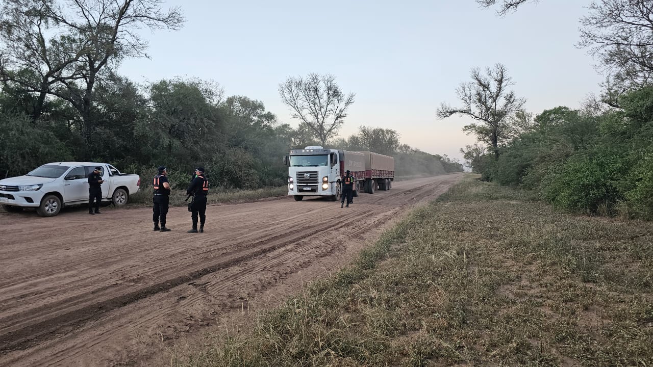 Policía Caminera: operadores viales secuestran mercadería ilegal valuada en $7.500.000 pesos y producto forestal en exceso