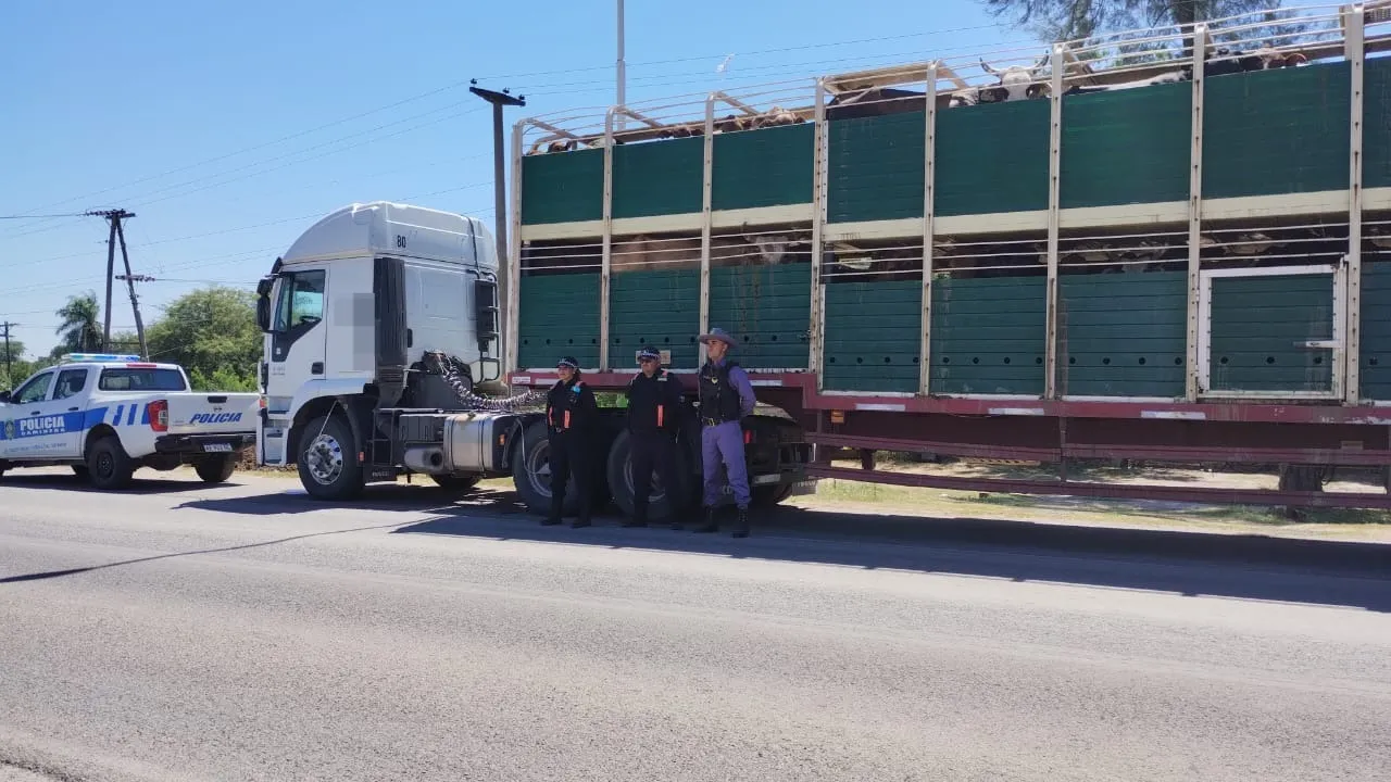 Policía caminera: interviene la carga de  animales por irregularidades en la documentación
