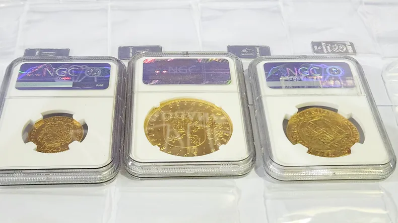 Ciudadano japonés intentó ingresar al país de manera ilegal 18 monedas y 327 lingotes de platino