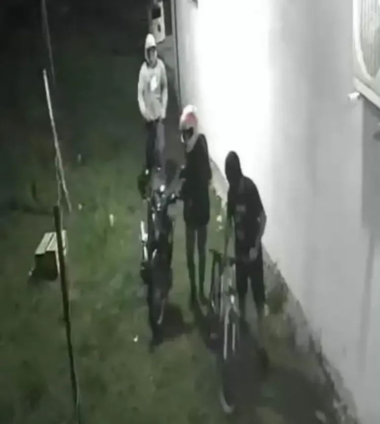 Corrientes: mataron a palazos al perro para robar en una casa