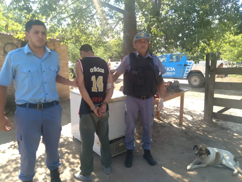 Secuestraron 60 kilos de carne vacuna y ocho plantines de marihuana en un paraje de Chaco