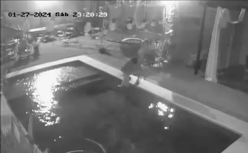 Pretenden llevar a juicio al menor que ahogó a un perro durante un robo: cómo podría avanzar la Justicia