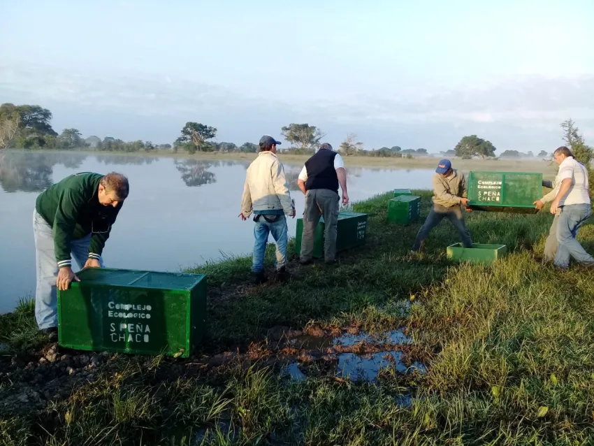 Destacan el trabajo y la suelta de animales del Complejo Ecológico de Sáenz Peña