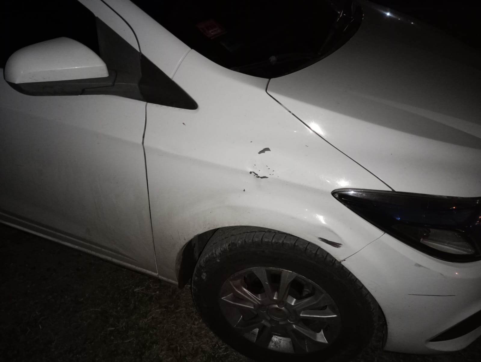 Atropelló un árbol y se dio a la fuga en una causa de violencia de género