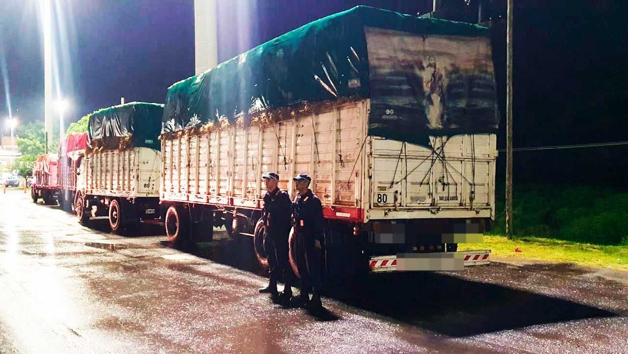 Policía Caminera: intervienen carga de alfalfa por anomalías en la documentación