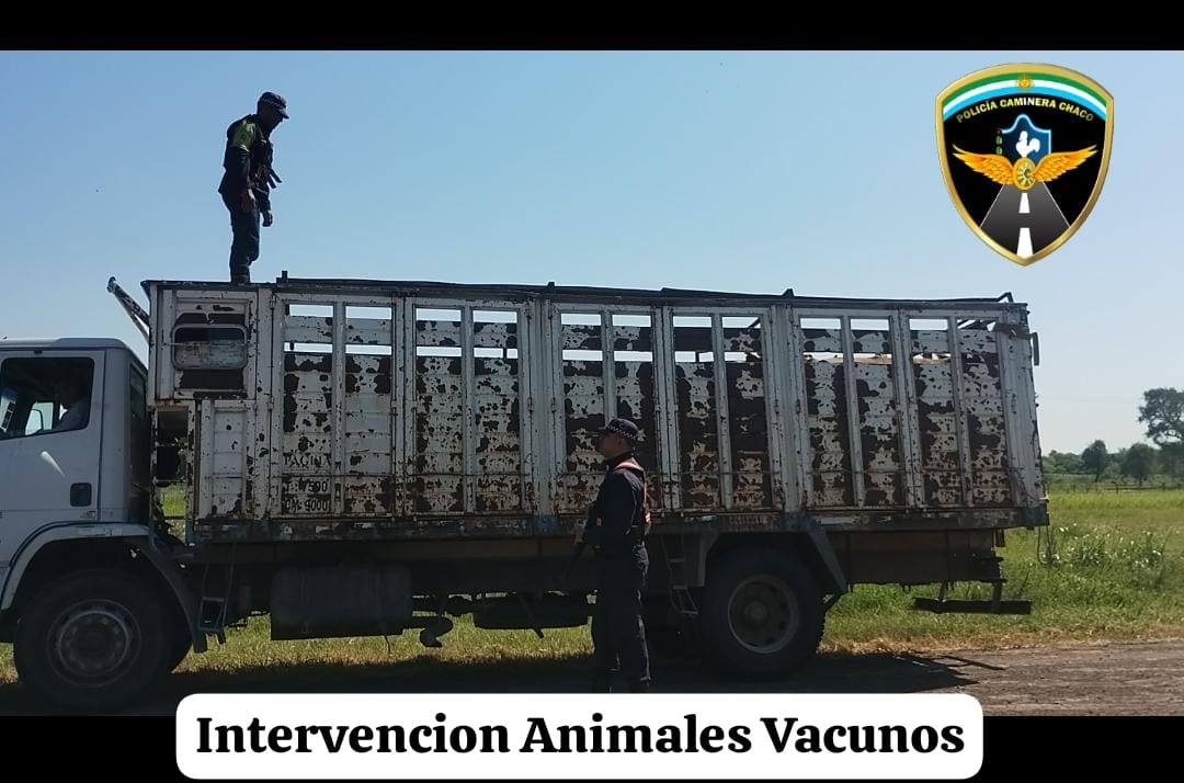 Operativos de fin de semana: más de 50 conductores no pasaron el test de alcoholemia