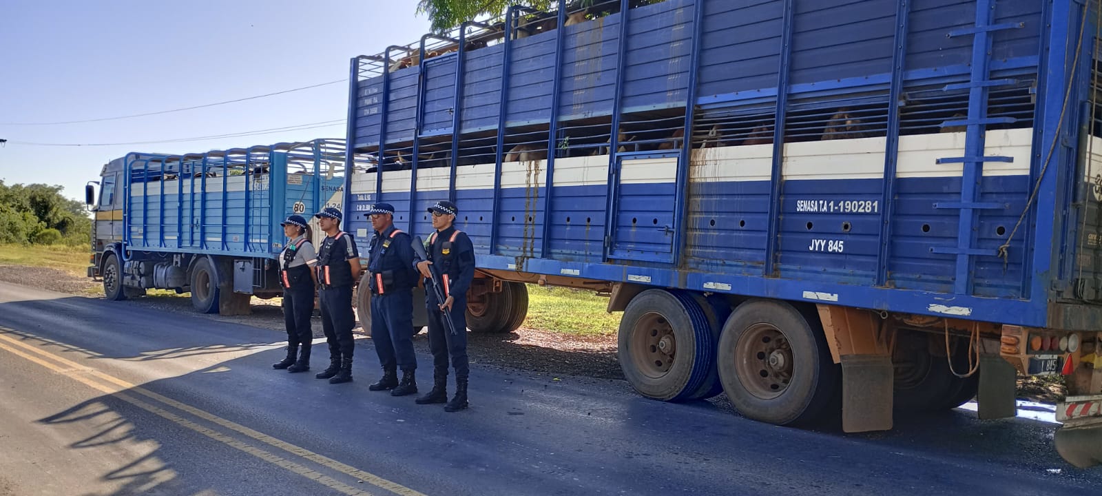 Patrulla Vial San Martín: transportaba animales vacunos con anomalías en la documentación