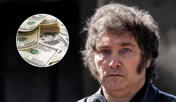 Milei quiere levantar el cepo a mitad de año: por qué los dólares del campo son clave para lograrlo