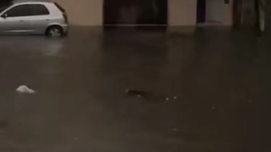 Ordenan realizarle la autopsia al cuerpo del joven que hallaron flotando en la calle en Valentín Alsina