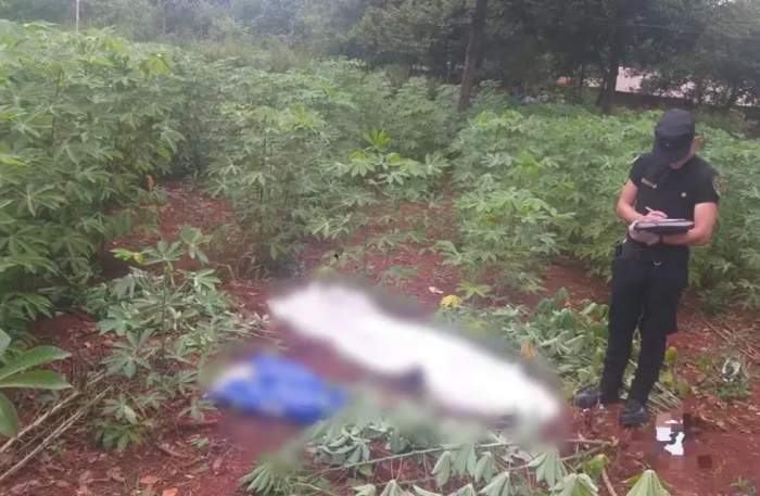 Misiones: tocó una cerca electrificada, recibió una descarga y murió