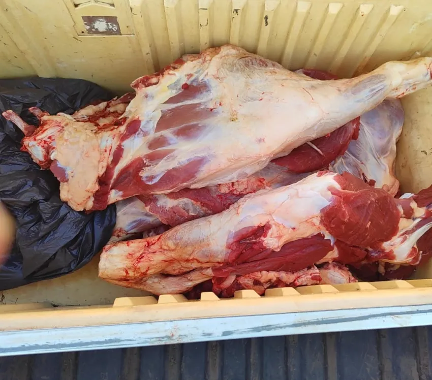 Doble operativo: la Policía secuestró carne no apta para el consumo y una moto robada