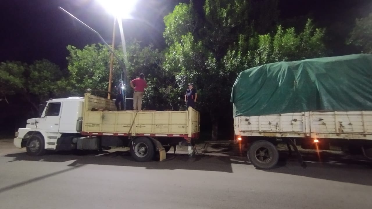 Policía Caminera: intervienen carga forestal sin documentación.