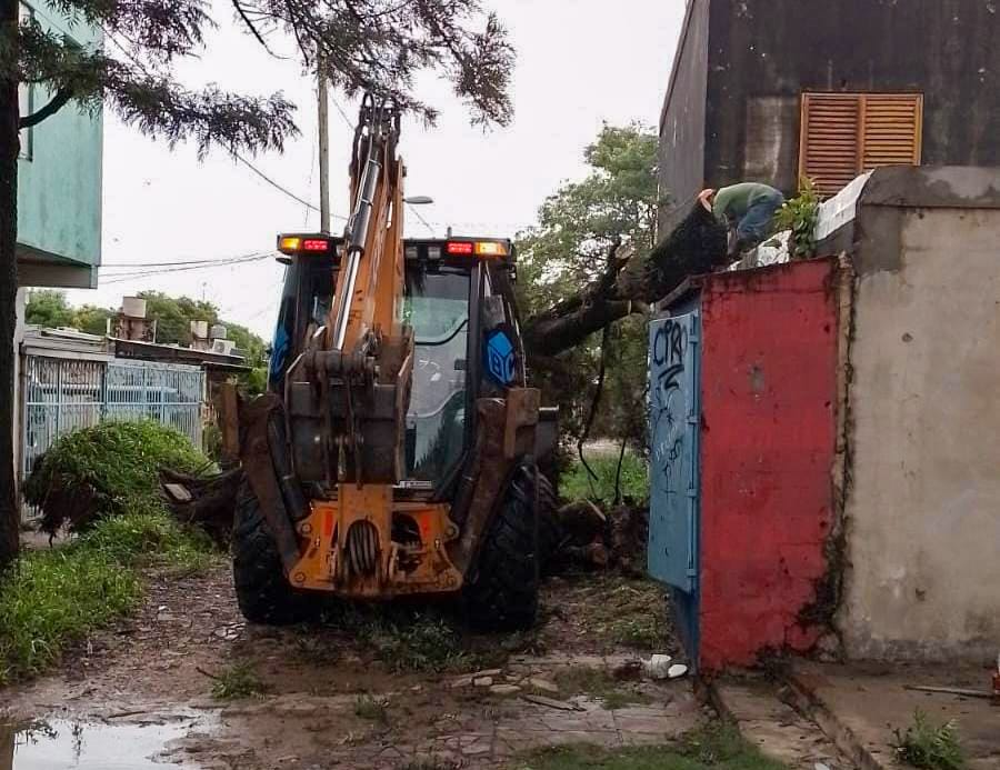 Intervención municipal para despejar las calles de árboles caídos por el temporal