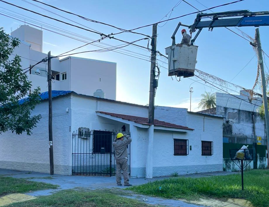 Municipales realizaron despeje de luminarias