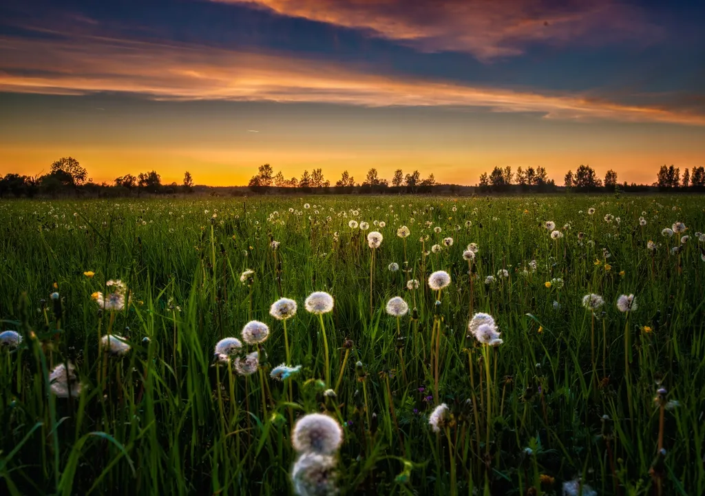 ¡Las plantas gritan! Un estudio revela que emiten sonidos ultrasónicos cuando están bajo estrés