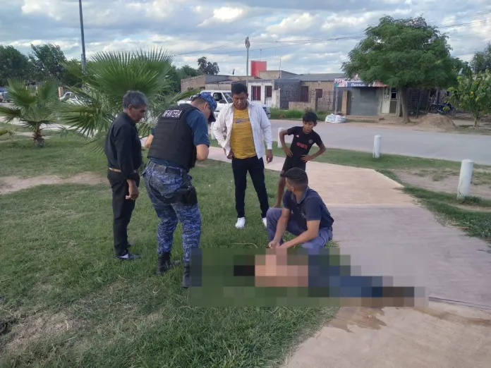 Castelli: salvaron la vida con RCP a un menor que cayó a un canal de desagüe