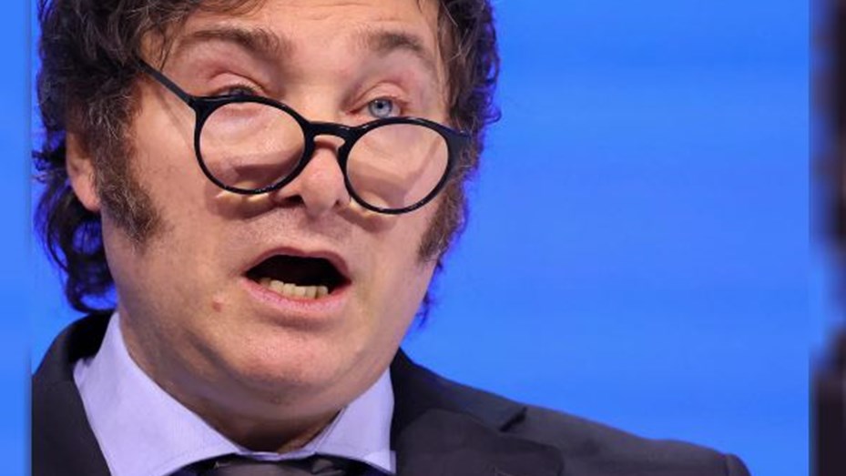 Milei rechazó aplicar la vacuna contra el dengue: «En 3 meses los mosquitos habrán desaparecido»