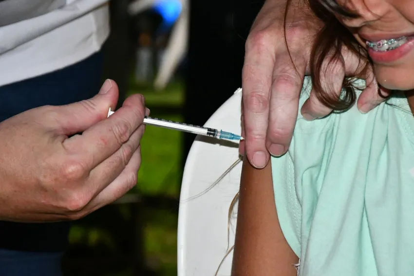 Las provincias aplican sus propias estrategias para combatir el Dengue: Chaco marcó cuál será su prioridad