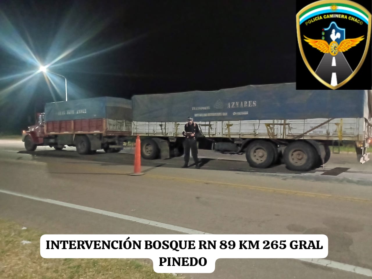 Siguen los buenos resultados: dos intervenciones forestales y una moto recuperada por Policía Caminera