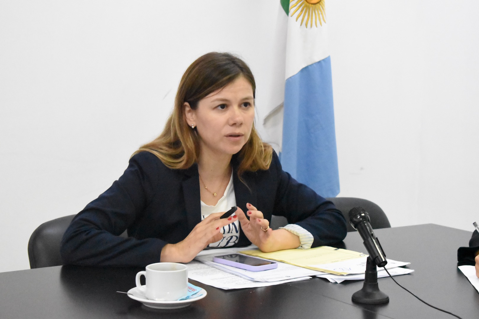 Se reunió la Comisión de Recursos Naturales y Ambiente