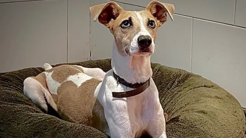 Grave denuncia en Gran Hermano: aseguran que a Arturo lo robaron de su hogar