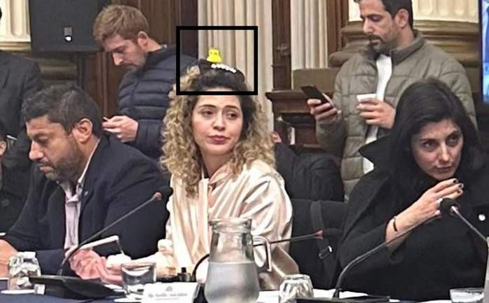 Una diputada de Milei fue a la sesión con un «patito» en la cabeza