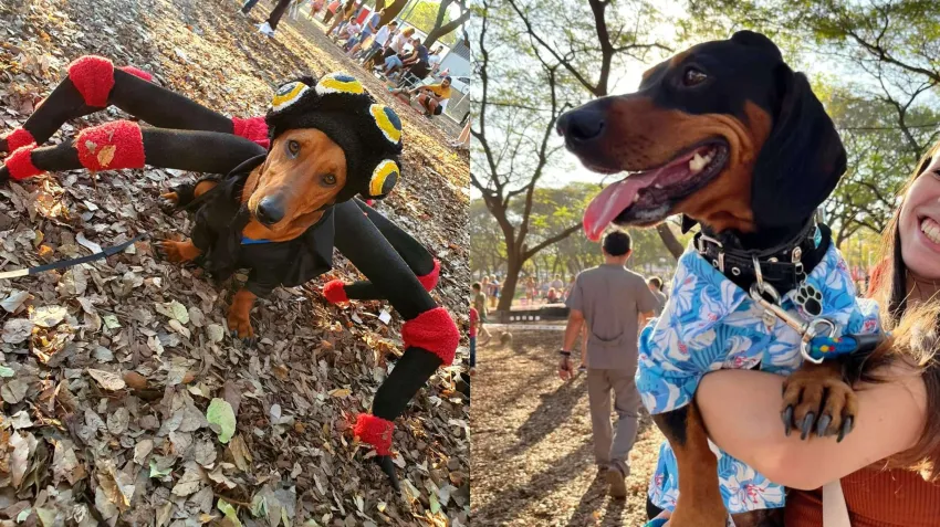 Se realizará una nueva edición del Salchi Encuentro en el Parque 2 de Febrero