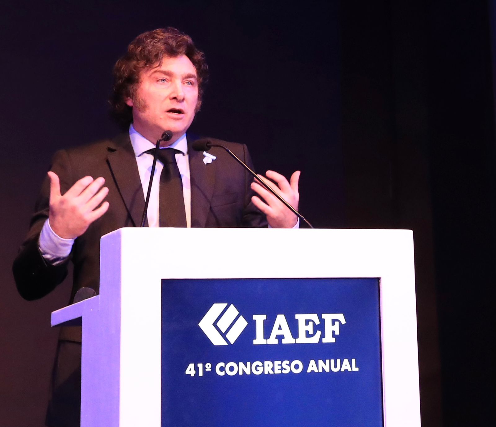 Javier Milei: “No vamos a parar hasta que Argentina sea el país con más libertad del mundo”