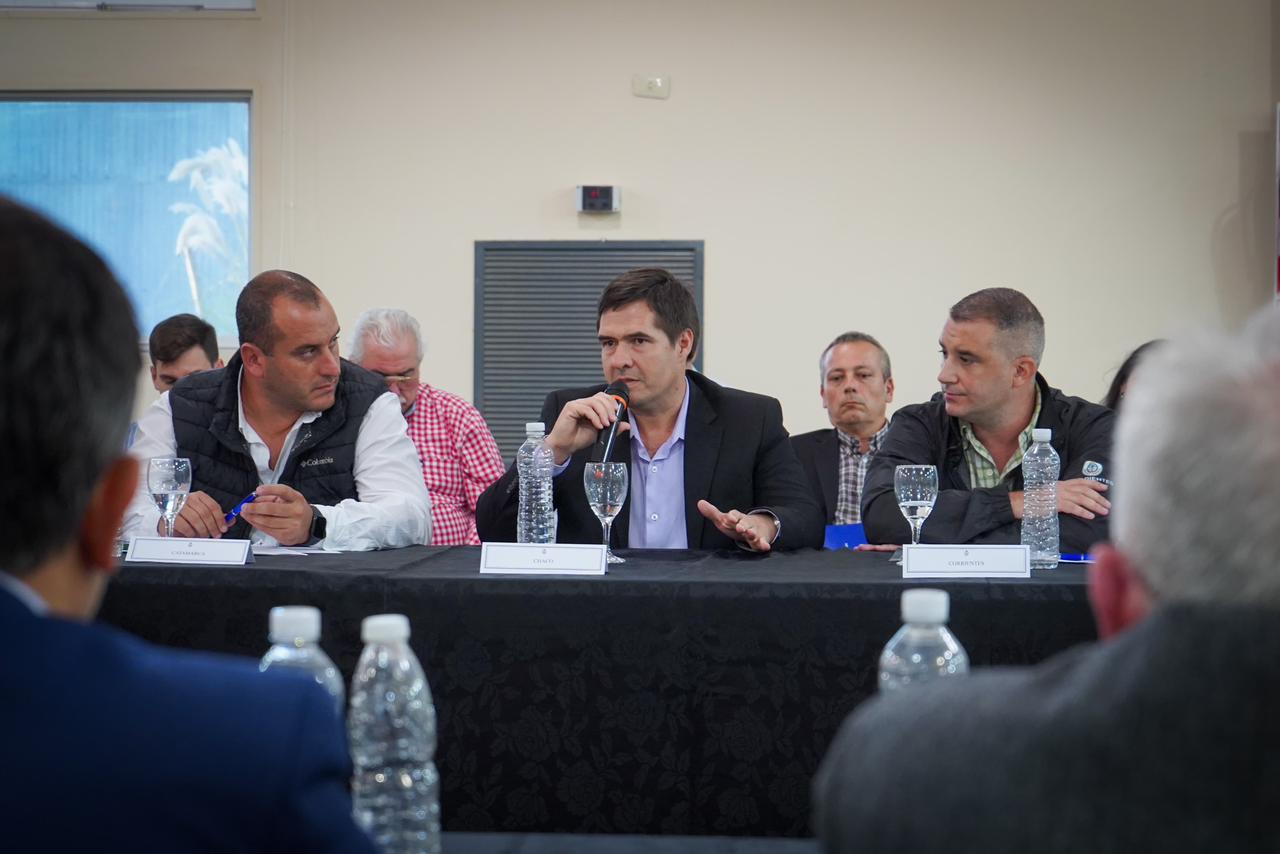 Chaco se une al Comité de Crisis junto a otras 11 provincias en la lucha contra el Vector «La Chicharrita»