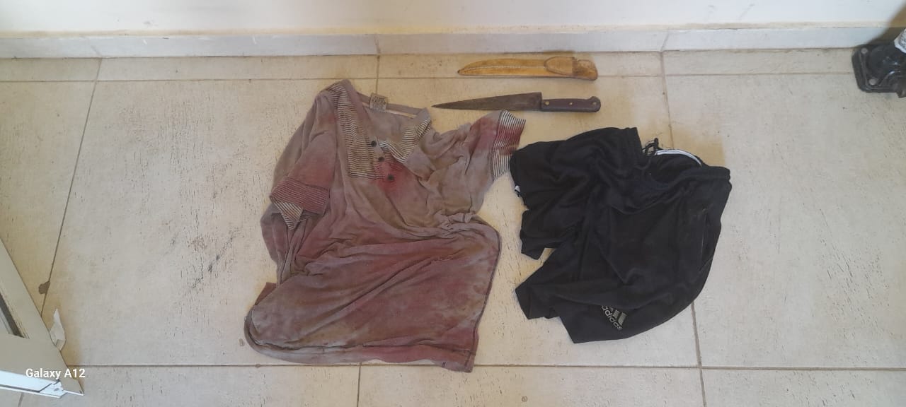 Detuvieron al presunto femicida de Castelli