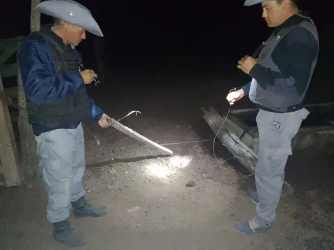 Un animal vacuno fue recuperado antes de su faena por efectivos rurales de Sáenz Peña