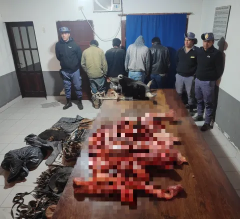 Faenaron dos animales vacunos dentro del Parque Nacional La Fidelidad y detuvieron a cuatro personas