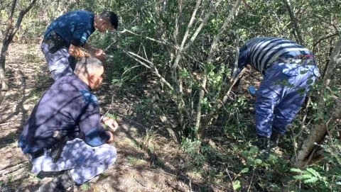 Un hombre encontró ropa y 28 huesos humanos en un campo: habrá más rastrillajes en la zona
