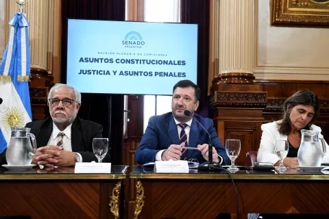 El Senado retoma la discusión en comisión de un proyecto para cambiar las penas por sustracción de menores