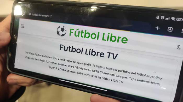 Bloquean el sitio Fútbol Libre y atrapan al dueño de Megadeportes