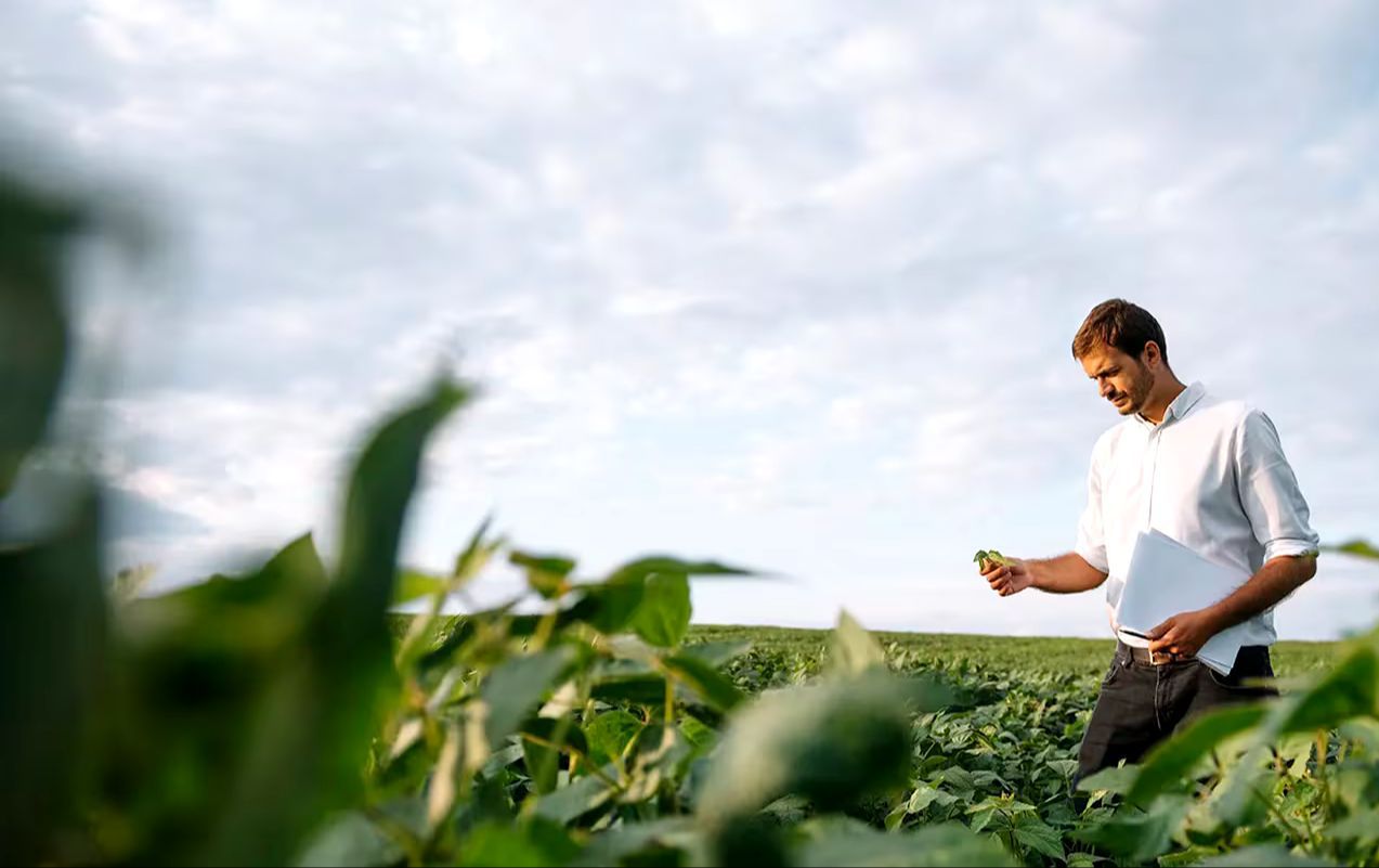 El Consejo Profesional de Ingenieros Agrónomos del Chaco apoya el OTBN