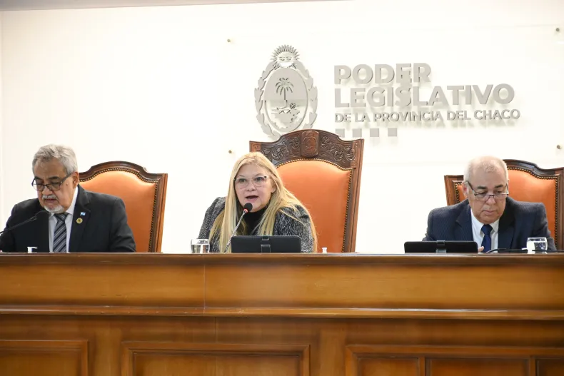 Carmen Delgado destacó que «Chaco es la primera provincia que incorpora las pistolas taser por ley»