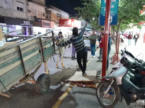 Rescataron a un caballo en el centro de Resistencia y secuestraron un carro en el que viajaban 3 personas