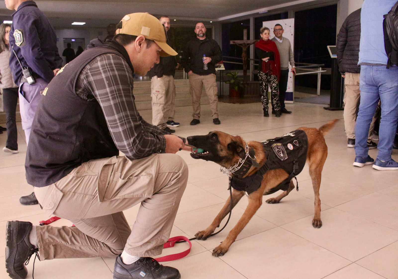 Saenz Peña: En un exitoso operativo de seguridad se logró secuestrar 50 Kilos de Marihuana