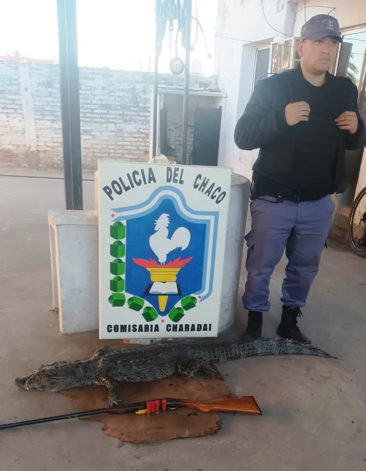 Basail: cazó un yacaré y lo llevaba en la moto, pero los policías lo descubrieron