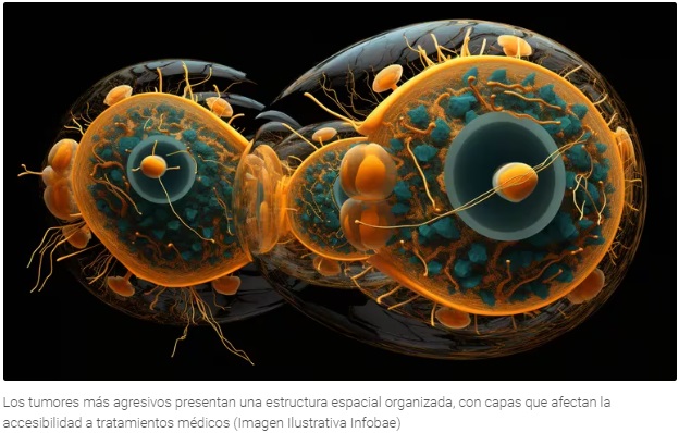Avance contra el cáncer: científicos mapearon las capas que componen a los tumores cerebrales