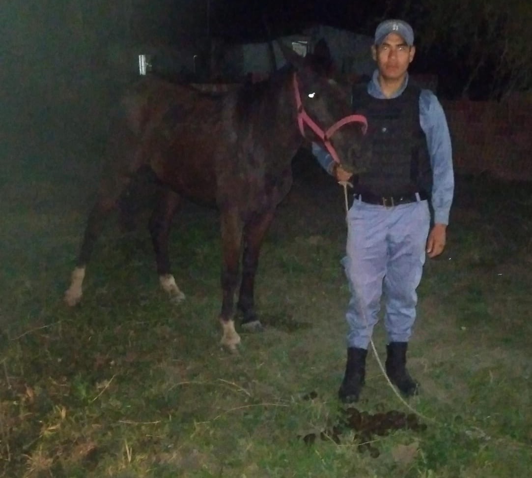 Comisarías intervinieron en diferentes hechs y secuestraron varias motocicletas