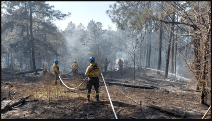 Controlaron el incendio del Valle de Punilla y solo queda un foco activo en Córdoba