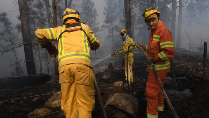 Contuvieron el incendio en Córdoba: hay un detenido y se realiza una guardia para controlar las cenizas