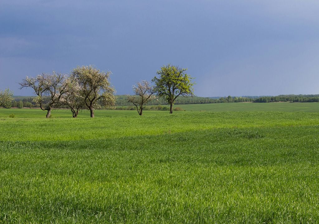 Pronóstico de Meteored para septiembre: con La Niña aún ausente, ¿se normalizarán las lluvias?
