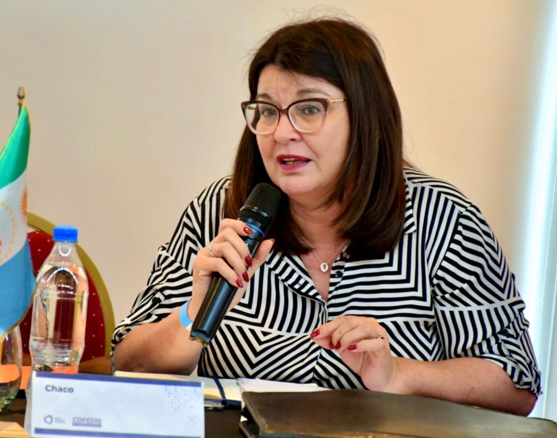 IPRODICH: «No está en riesgo la vigencia de los pases libres  en el transporte para personas con discapacidad» dijo Mitoire