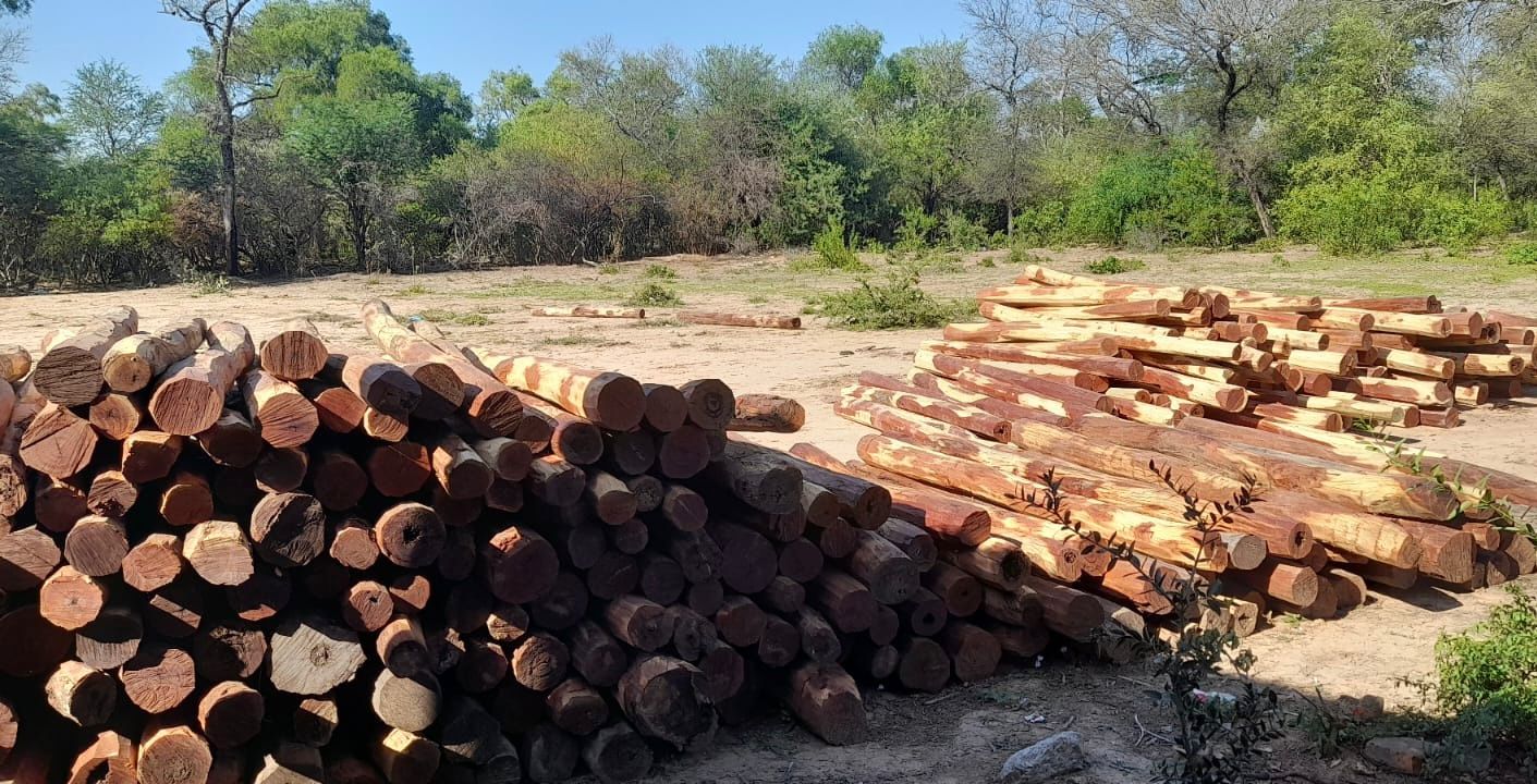Bosques secuestró 350 postes de quebracho colorado