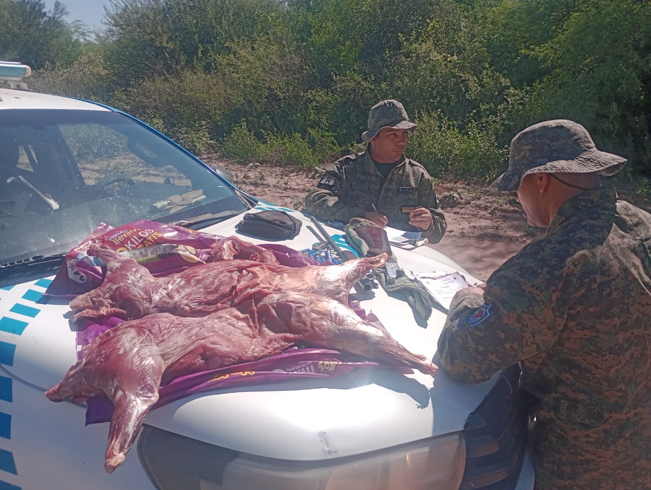 Dos ciudadanos demorados por caza ilegal